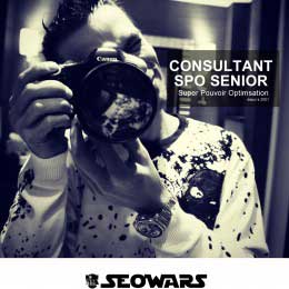 expert-referencement-seo-paris